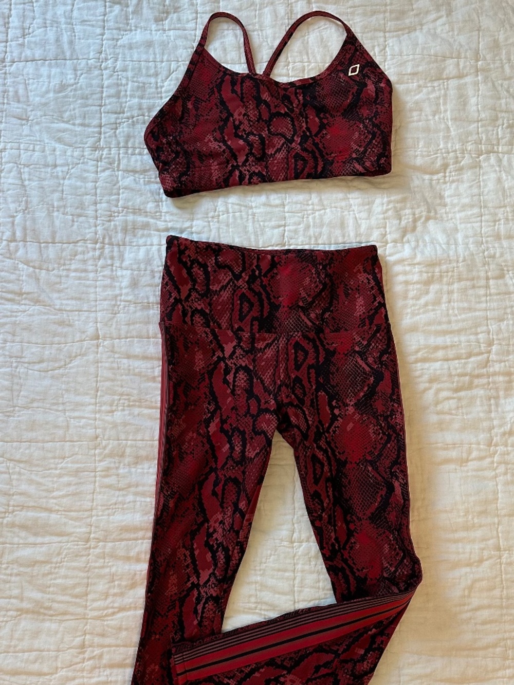 Lorna Jane Matching Snake Print Sports Bra and Leggings Set